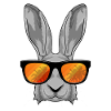 Hase Sonnenbrille