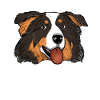 Aussie Mama Australian Shepherd Mama