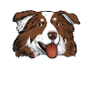 Aussie Mama Australian Shepherd Mama
