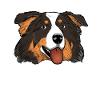 Aussie Dad Australian Shepherd Papa