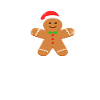 Christmas Biscuit