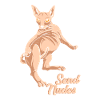 Sphynx Cat Send Nudes