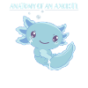 Axolotl Explication Anatomie d’un Axolotl