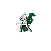 Pakistan Cricket, cricket Pakistani pakistan