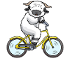 Pecora dal no nero vallese in bicicletta animale di pecora