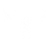 Élan