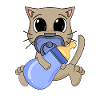 Bébé Jeune Chat