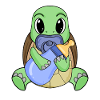 Baby Turtle