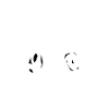 music animal