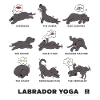 LABRADOR YOGA NERO