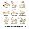 LABRADOR YOGA BEIGE