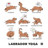 BROWN LABRADOR YOGA