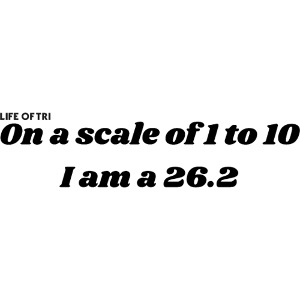 Scale 26.2