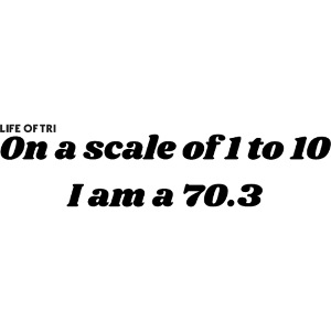 Scale 70.3
