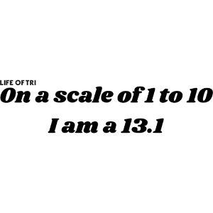 Scale 13.1