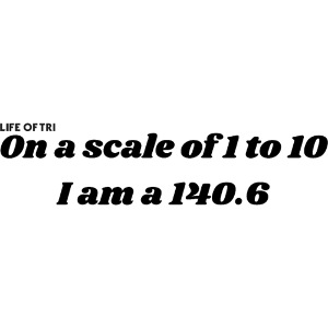 Scale 140.6