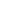 Types de champignons Champignons Champignons Cueillette de champignons