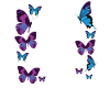 Christian Bible Verse Quote