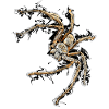 evil huntsman spider