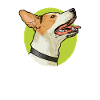 Drawing - Jack Russell