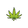 Heartbeat Weed Canabis