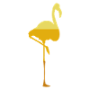 Flamingo Bird