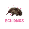 echidna whisperer, echidna