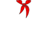 Thälmannpionier außer Dienst