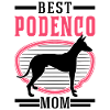 Meilleur Podenco Maman Podenco Canario