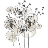 Dandelions
