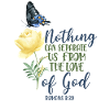 Christian Bible Verse Butterfly