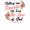 Christian Bible Verse Quote Rose
