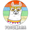 LAMA PROBLLAMA