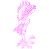 The Pink Venus Flytrap