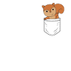 Eichhörnchen in Brusttasche lustig