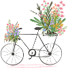Vélo plein de fleurs