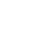 Anarchy Wolf