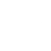 Feather bird fly drawn