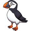 Cute Puffin