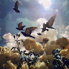 Bird migration over rose petals