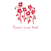 Coquelicots