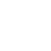 Shetland Pony Glitzer
