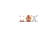 Chèvres Heartbeat Chèvre Amour