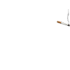 Cigarette Smoking
