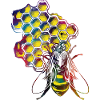 Bee and honey #bee #honey