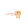 Hamster