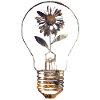 lamp and flower
