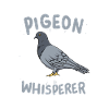 Pigeon Pigeon Whisperer