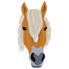 Haflinger Head Riding Pony Gift