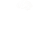 Gehirn